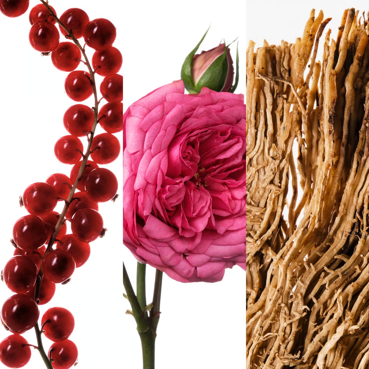 Carolina Herrera Very Good Gir - Wedding Fountain ulasan dan harga