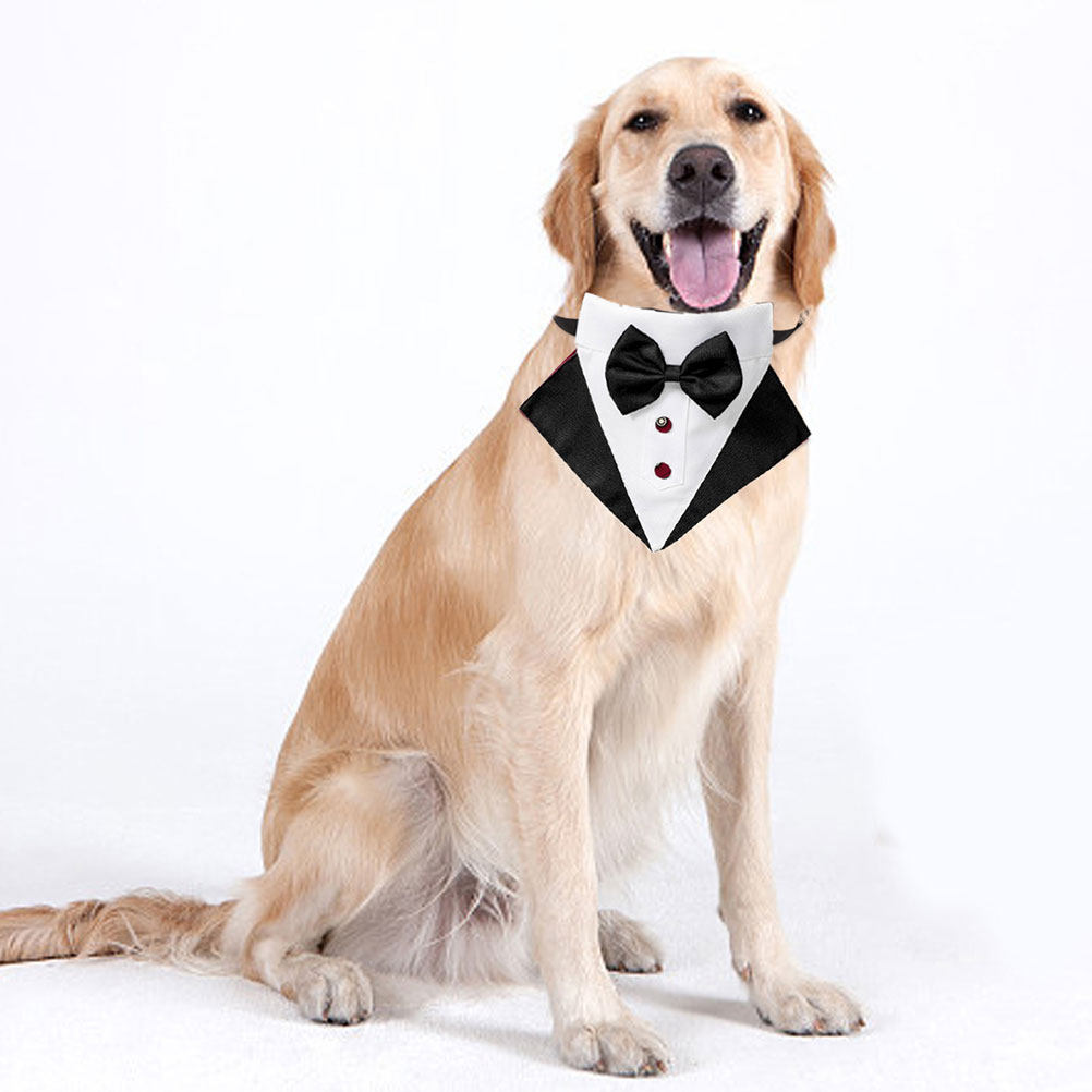 1Set Dog Suit and Bandana Dog  - Suit Supply Wedding Party ulasan dan harga